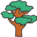 Grand arbre icon