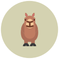 Lama icon