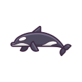 Killer Whale icon