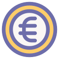 Euro icon