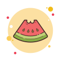 Slice Of Watermelon icon