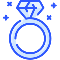 Wedding Ring icon