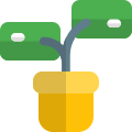 Money plant concept - finance and sales investment layout icon