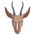 Springbok icon