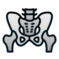 Pelvis icon