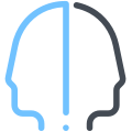 Bipolar Disorder icon