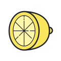 Citrus icon