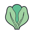 Salade icon