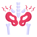 Pelvic Bone icon