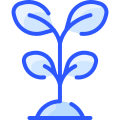 阳光下的植物 icon