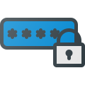 Password icon