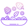 Berries icon