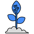 Growing Plant icon