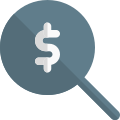 Money lookup concept for investment in large options icon