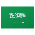 沙特阿拉伯 icon