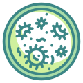 Microorganism icon