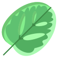 Calathea Leaf icon