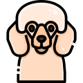 犬 icon