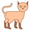 Extremidade de gato icon