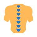 척추와 몸 icon