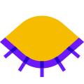 Closed Eye icon