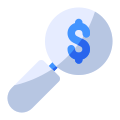 Search Money icon