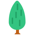 Poplar icon