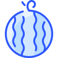 Wassermelone icon