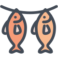 Dried fish icon