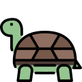 Tortue icon