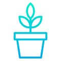 阳光下的植物 icon