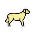 Golden Retriever icon