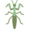Mantis icon