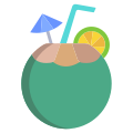 Kokosnuss icon