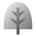 Oak Tree icon