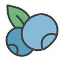 Bilberry icon