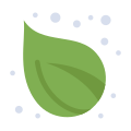 Leaf icon