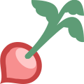 Radish icon