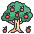 Apple Tree icon