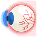 Eye Ball icon