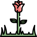 Rose icon