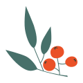 Berries icon