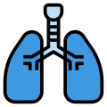 Lung icon