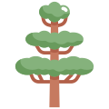 Arbre icon