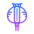 アヘンケシ icon