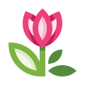 Tulipán icon