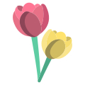 Tulipano icon