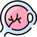 Eyeball icon