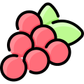 внешние-ягоды-джунгли-виталия-горбачев-линейный-цвет-виталия-горбачев icon