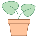 Plante en pot icon